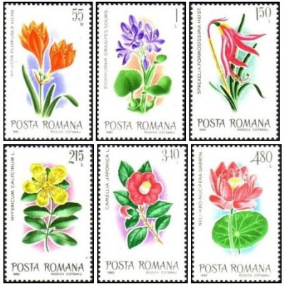 6 عدد تمبر  گل ها - باغ گیاه شناسی، بخارست -  رومانی 1980