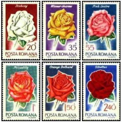 6 عدد تمبر گلهای رز- رومانی 1970