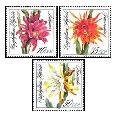3 عدد  تمبر گلهای کاکتوس - جمهوری دموکراتیک آلمان 1989