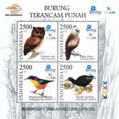 مینی شیت گونه های پرندگان در معرض خطر اندونزی - اندونزی 2012