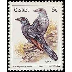 1 عدد تمبر سری پستی پرندگان - 6c -  آفریقای جنوبی - سیسکی 1981