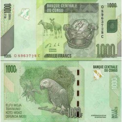 اسکناس 1000 فرانک - کنگو 2013
