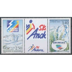 2 عدد تمبر اسکی در آندورا - با تب - آندورا فرانسه 1993 قیمت 2.9 دلار